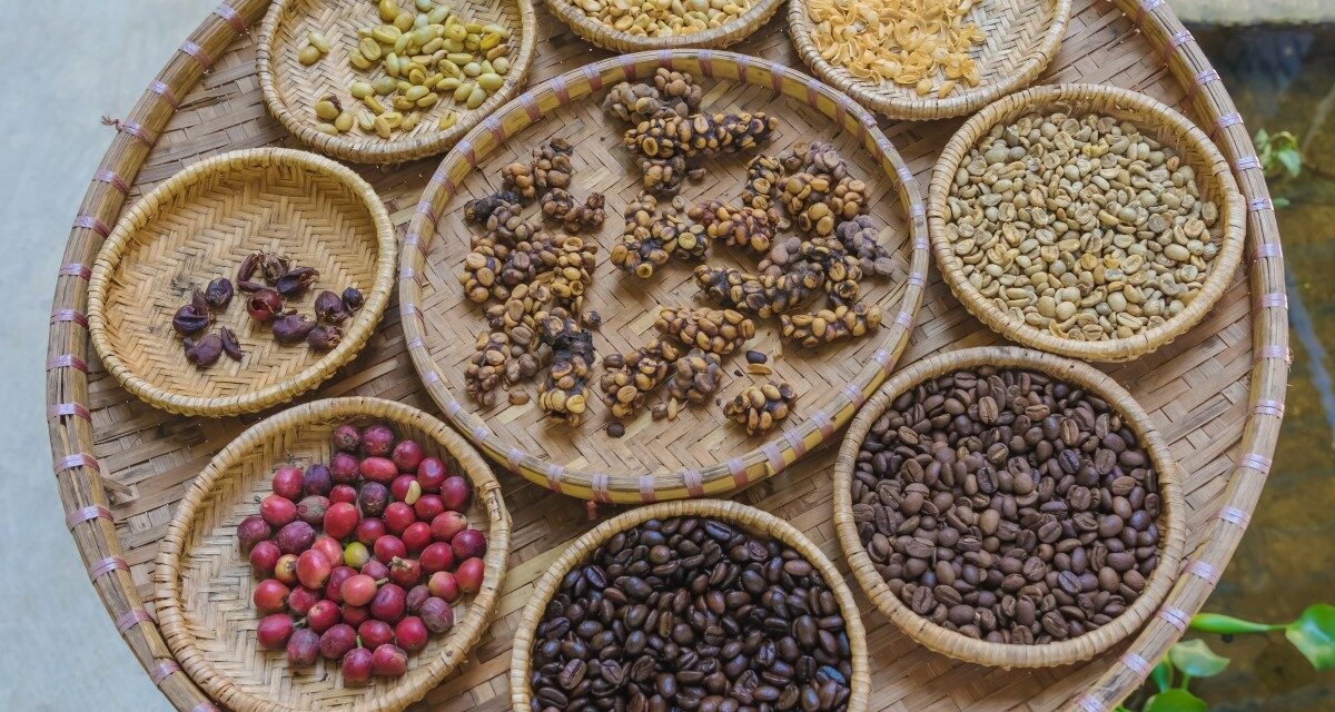 Jenis – Jenis Kopi Terbaik Yang Di Miliki Indonesia